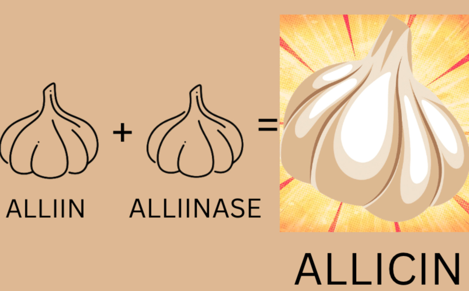 ALLICIN